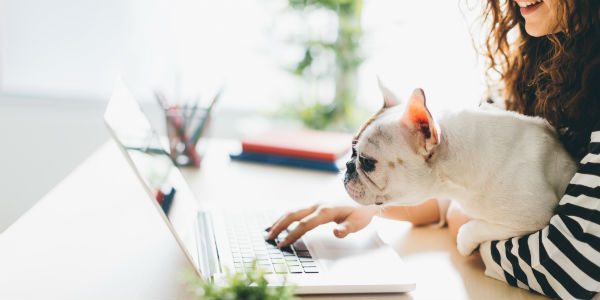 Woman with french bulldog at laptop