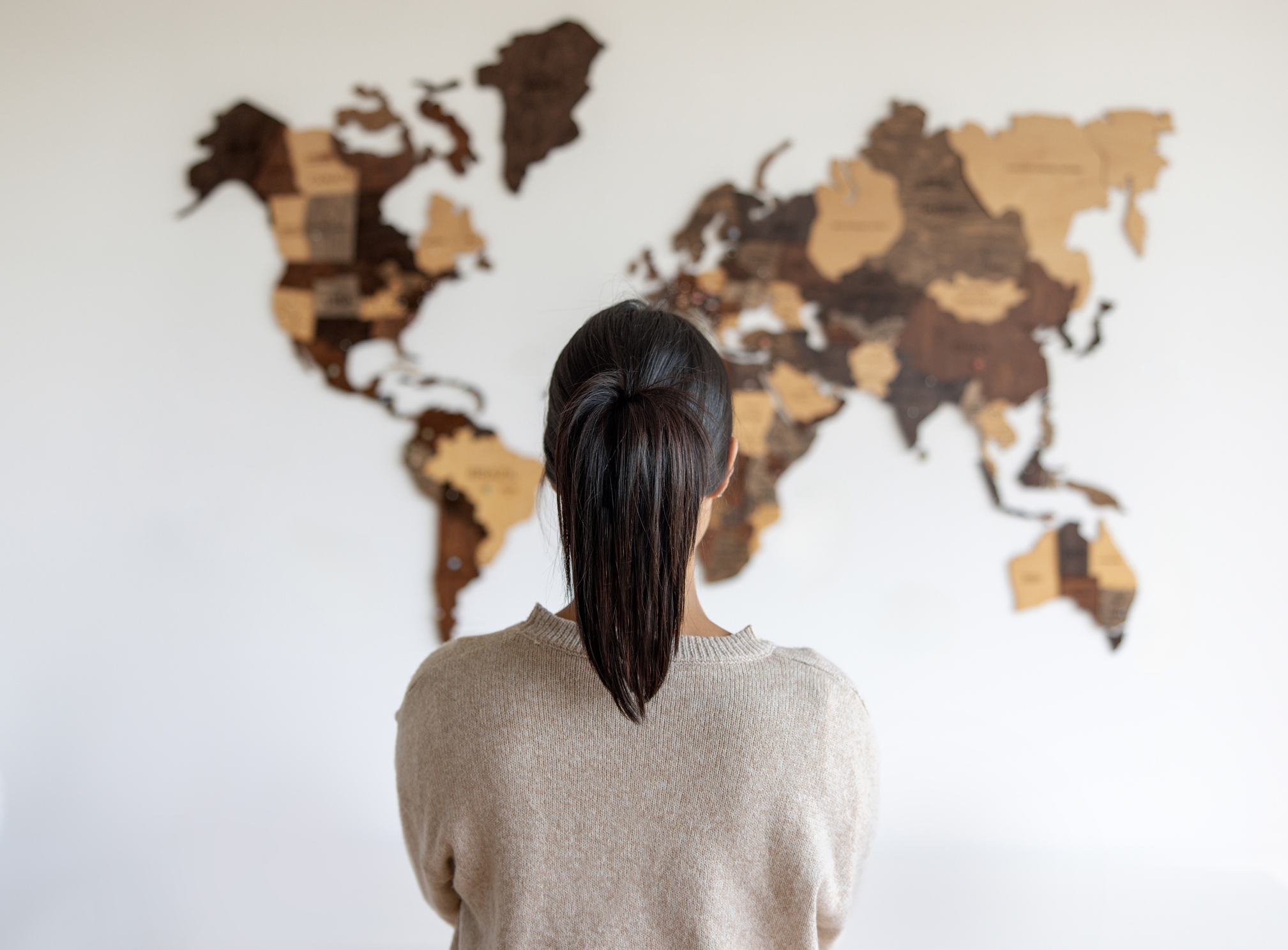 What Financial Wellness Companies Are Global?